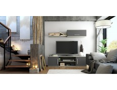 MÓDULO TV 2 PUERTAS + 2 HUECOS