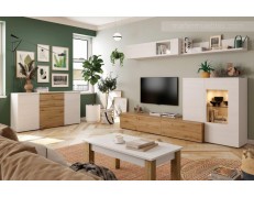 COMPOSICIÓN SALÓN NEO 653